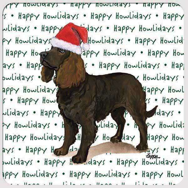 American Water Spaniel 
