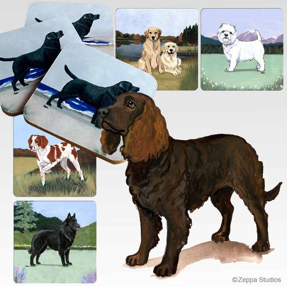 American Water Spaniel Scenic Square Coaster