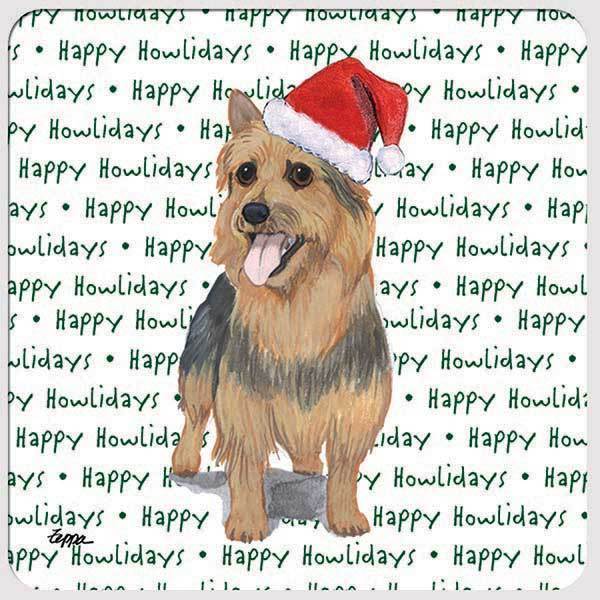 Australian Terrier 