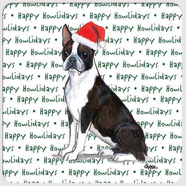 Boston Terrier 
