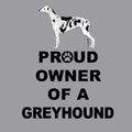 Tri-Color Greyhound Proud Owner - Women's V-Neck T-Shirt