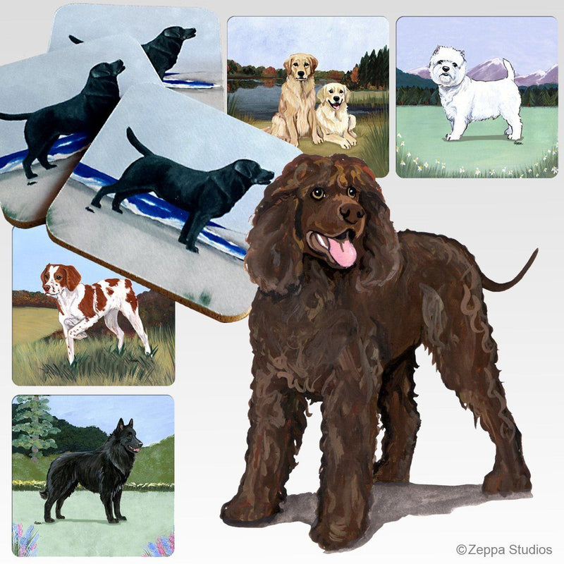 Irish Water Spaniel Scenic Square Coaster