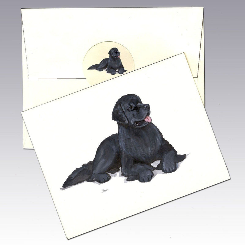 Newfoundland Note Cards