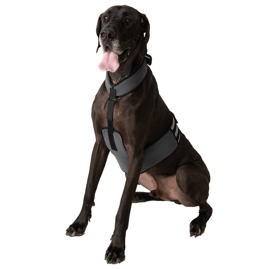 Cooling Vest and Collar